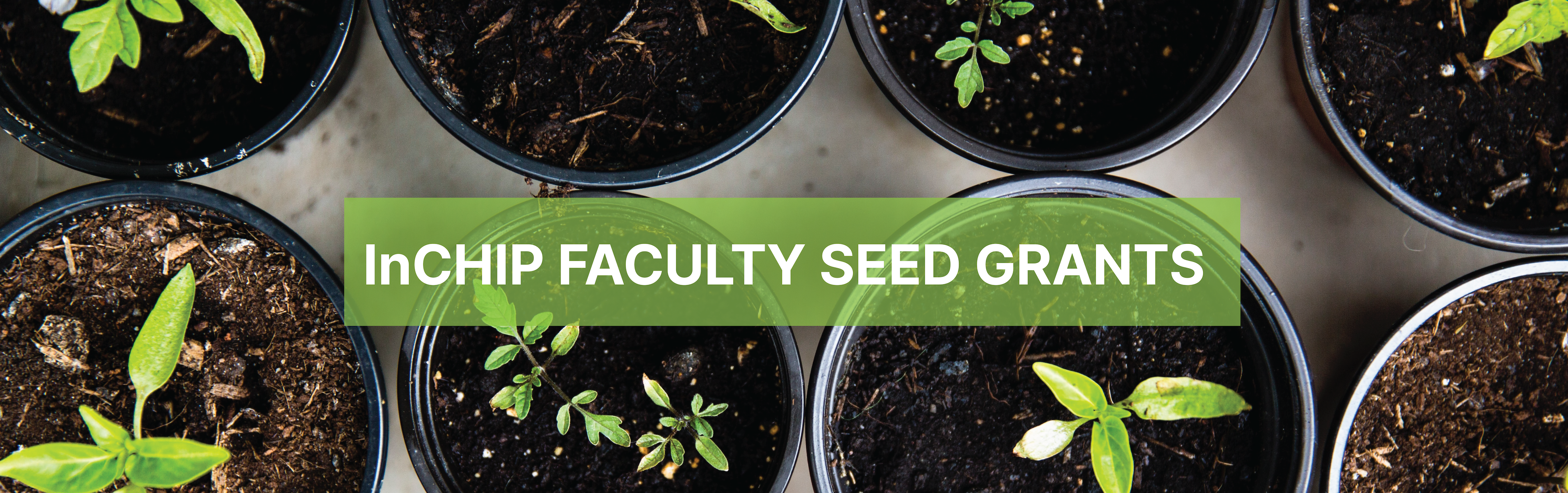 InCHIP Faculty Seed Grants