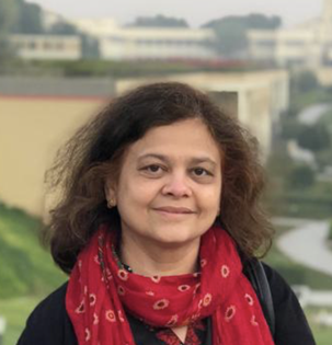 Swapna Gokhale, Associate Professor in the School of Computing