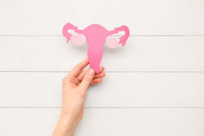 Hand holding a paper uterus against a white wooden background